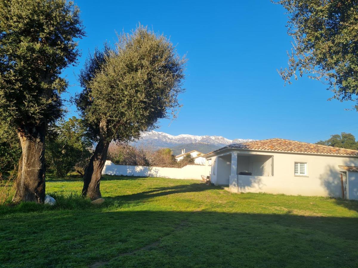 Apartmán Location "Casa Monna" Prunelli-di-Fiumorbo Exteriér fotografie